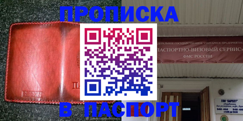 временная прописка в Шагонаре